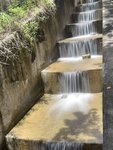 IMG_8794