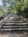 IMG_8795