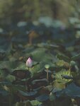 IMG_8844