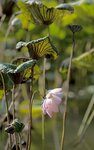 IMG_8847