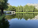 IMG_8858