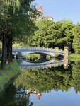 IMG_8859