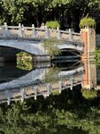 IMG_8861