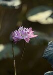 IMG_8879