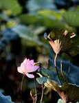 IMG_8883