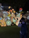IMG_8893