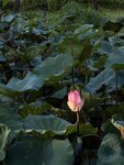 IMG_8925