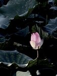 IMG_8927