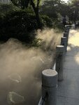 IMG_8951