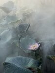 IMG_8960