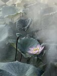 IMG_8961