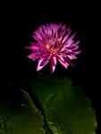IMG_9375