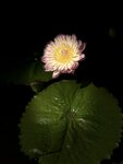 IMG_9376