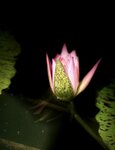 IMG_9379