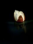 IMG_9385