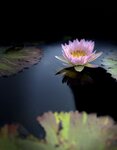 IMG_9392