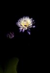 IMG_9396
