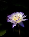 IMG_9404