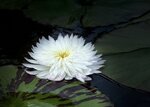 IMG_9408