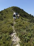 IMG_9429