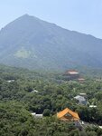 IMG_9439