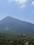 IMG_9440