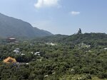 IMG_9441