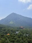 IMG_9442