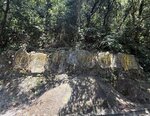 IMG_9453