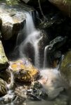 IMG_9455