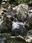 IMG_9459