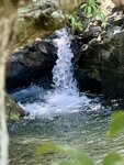 IMG_9460