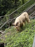 IMG_9686