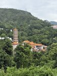 IMG_9689