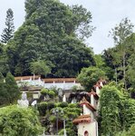 IMG_9693