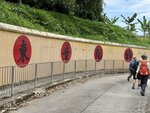 IMG_9701