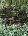 IMG_9852