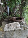 IMG_9897
