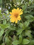 IMG_9909