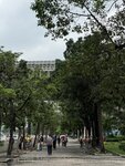 IMG_9928