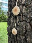IMG_9937