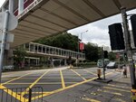 IMG_9950