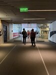 IMG_9951