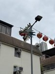 IMG_9957