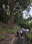 IMG_9965