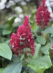 IMG_0251