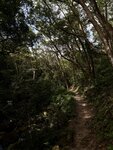 IMG_0254