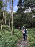 IMG_0259