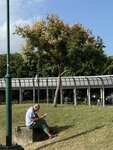 IMG_1420