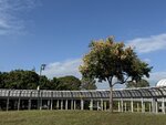 IMG_1421